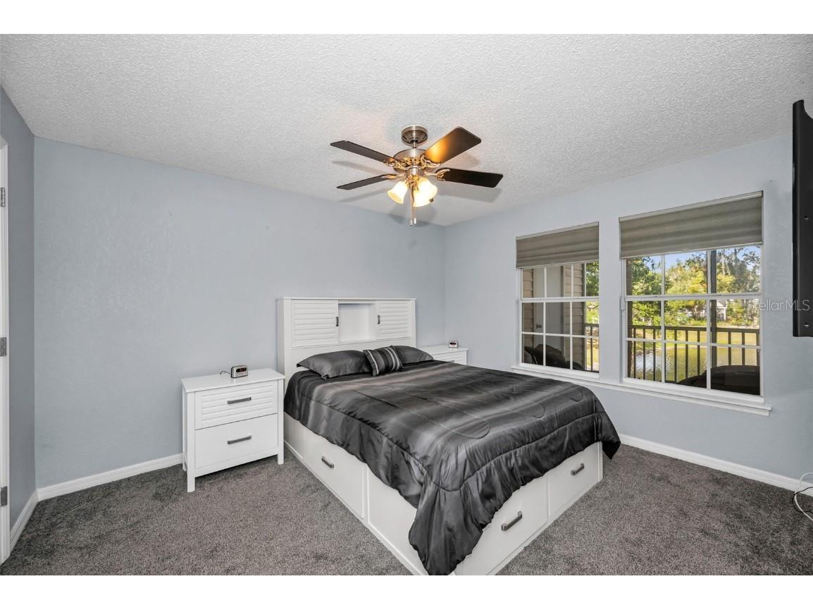 3261 Haviland Court #203 Palm Harbor FL 34684 W7881130 image23