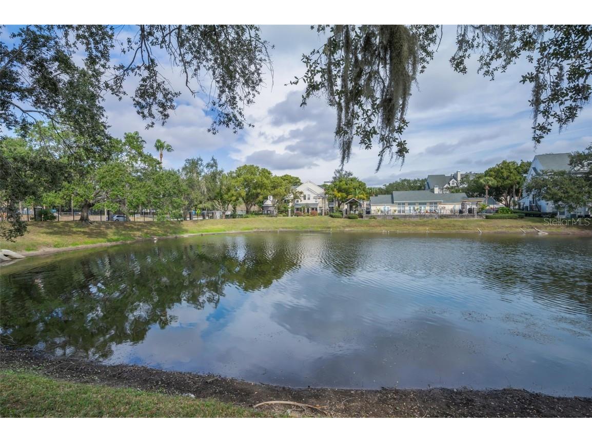 3261 Haviland Court #203 Palm Harbor FL 34684 W7881130 image24