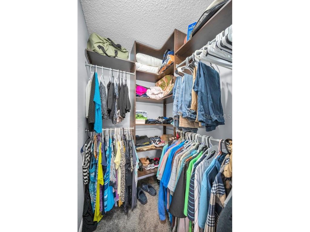 3261 Haviland Court #203 Palm Harbor FL 34684 W7881130 image29