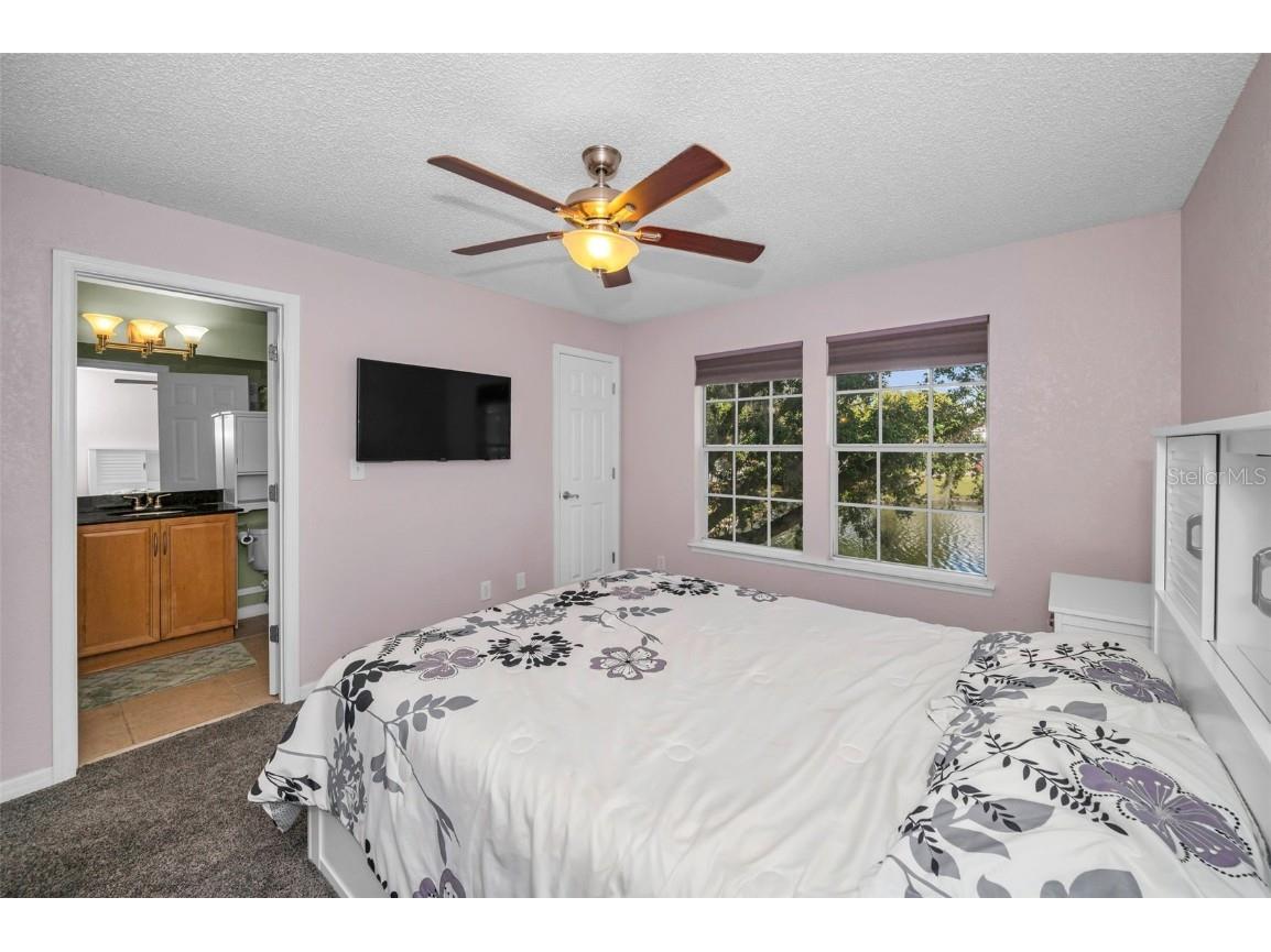 3261 Haviland Court #203 Palm Harbor FL 34684 W7881130 image32