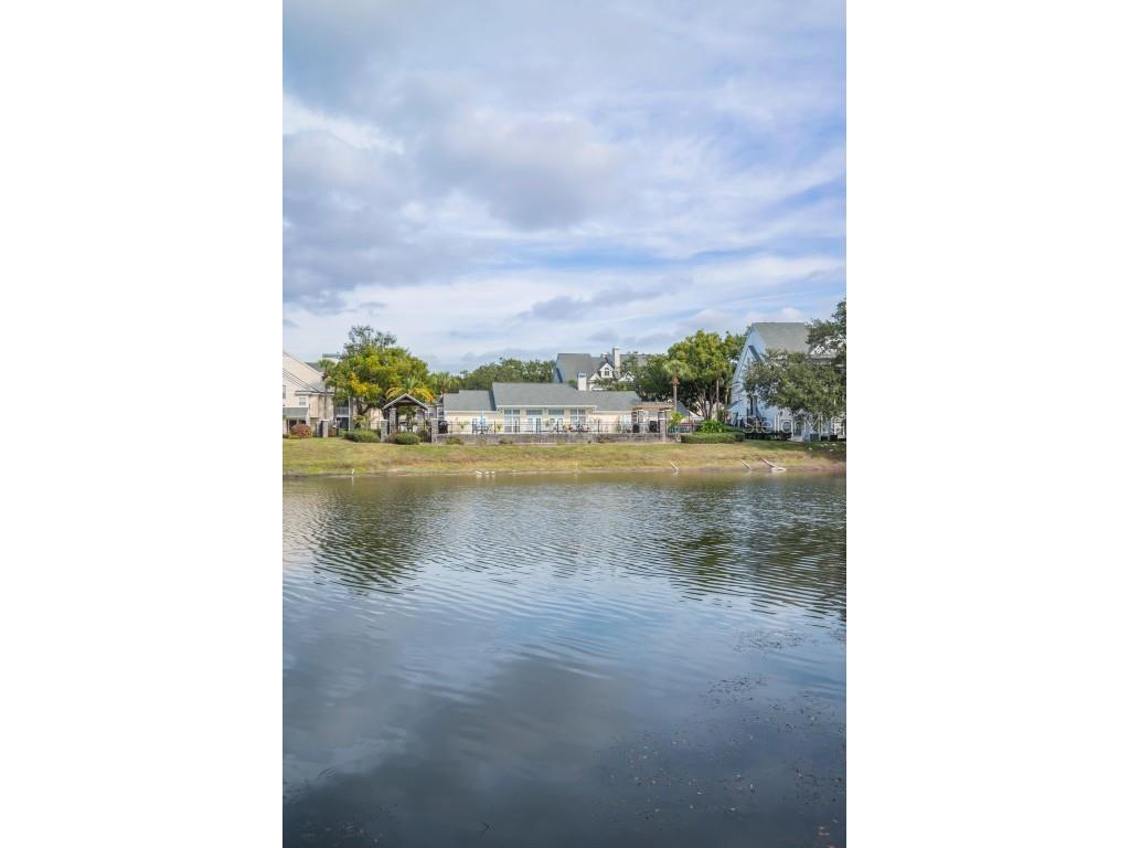 3261 Haviland Court #203 Palm Harbor FL 34684 W7881130 image38
