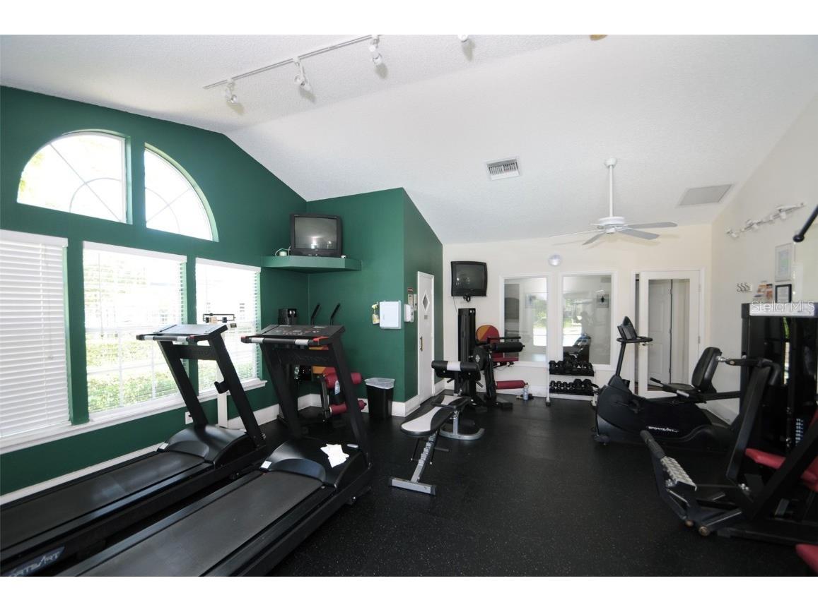 3261 Haviland Court #203 Palm Harbor FL 34684 W7881130 image44