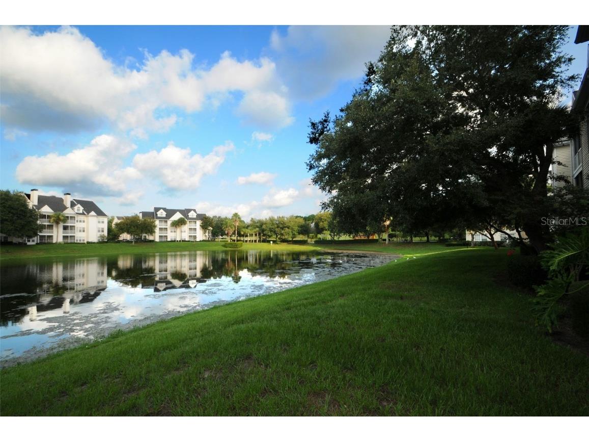3261 Haviland Court #203 Palm Harbor FL 34684 W7881130 image49