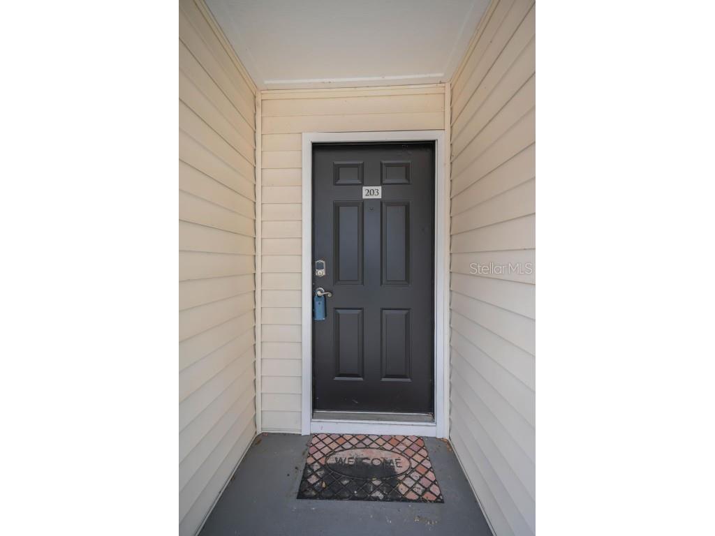 3261 Haviland Court #203 Palm Harbor FL 34684 W7881130 image5