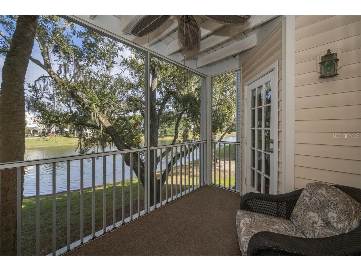 3261 Haviland Court #203 Palm Harbor FL 34684 W7881130 image7