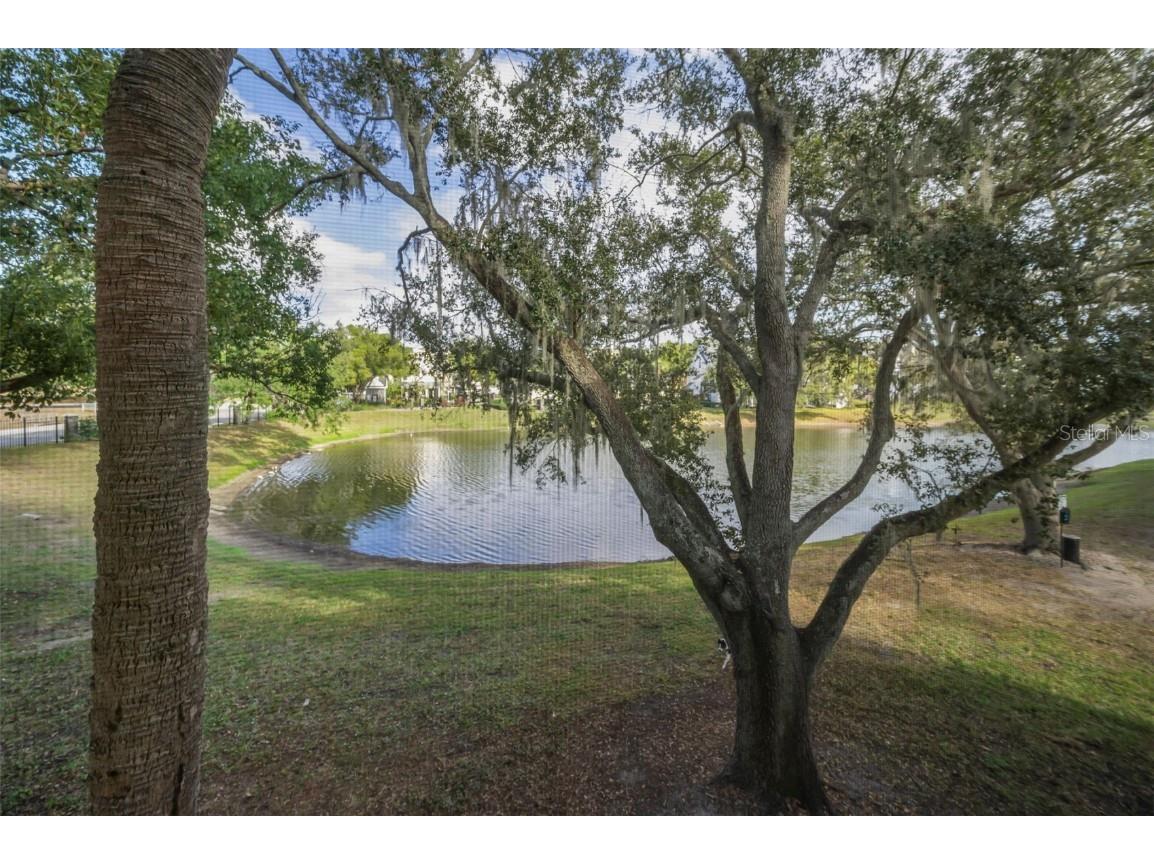 3261 Haviland Court #203 Palm Harbor FL 34684 W7881130 image8