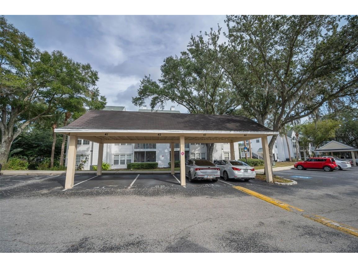 3261 Haviland Court #203 Palm Harbor FL 34684 W7881806 image2