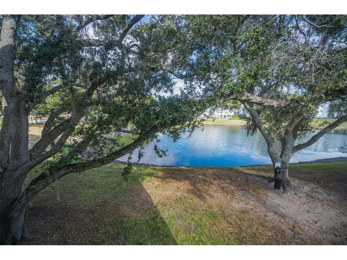 3261 Haviland Court #203 Palm Harbor FL 34684 W7881806 image27