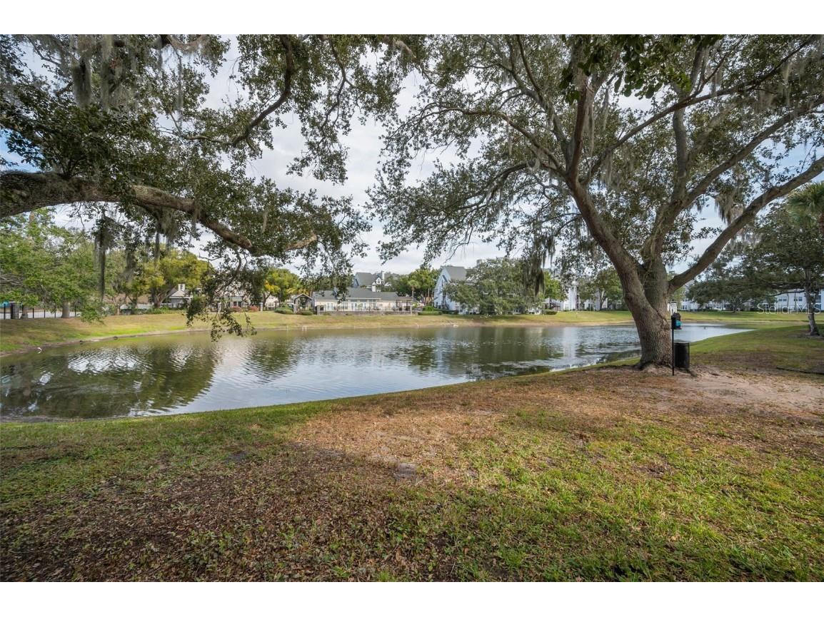 3261 Haviland Court #203 Palm Harbor FL 34684 W7881806 image32