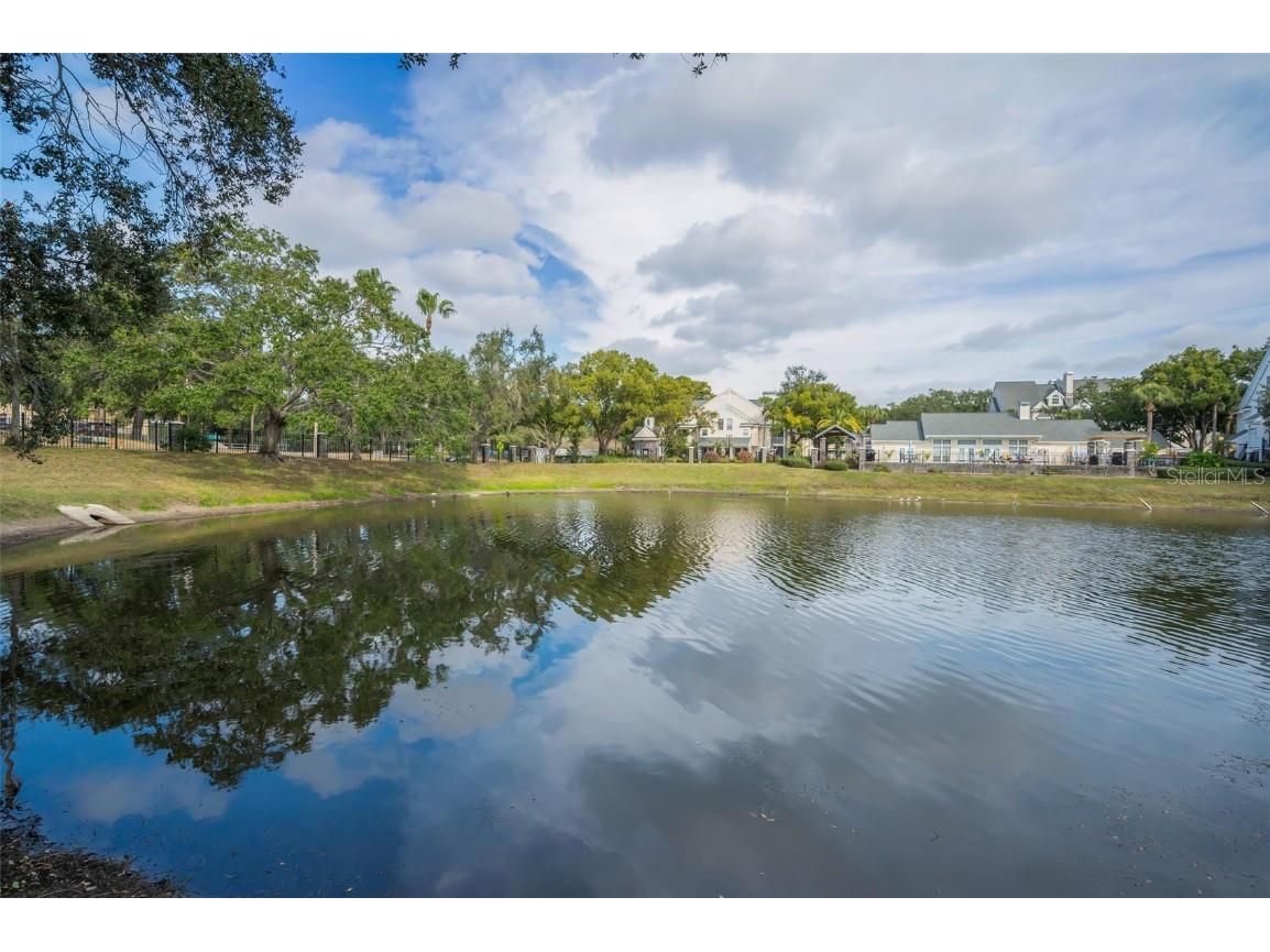 3261 Haviland Court #203 Palm Harbor FL 34684 W7881806 image34