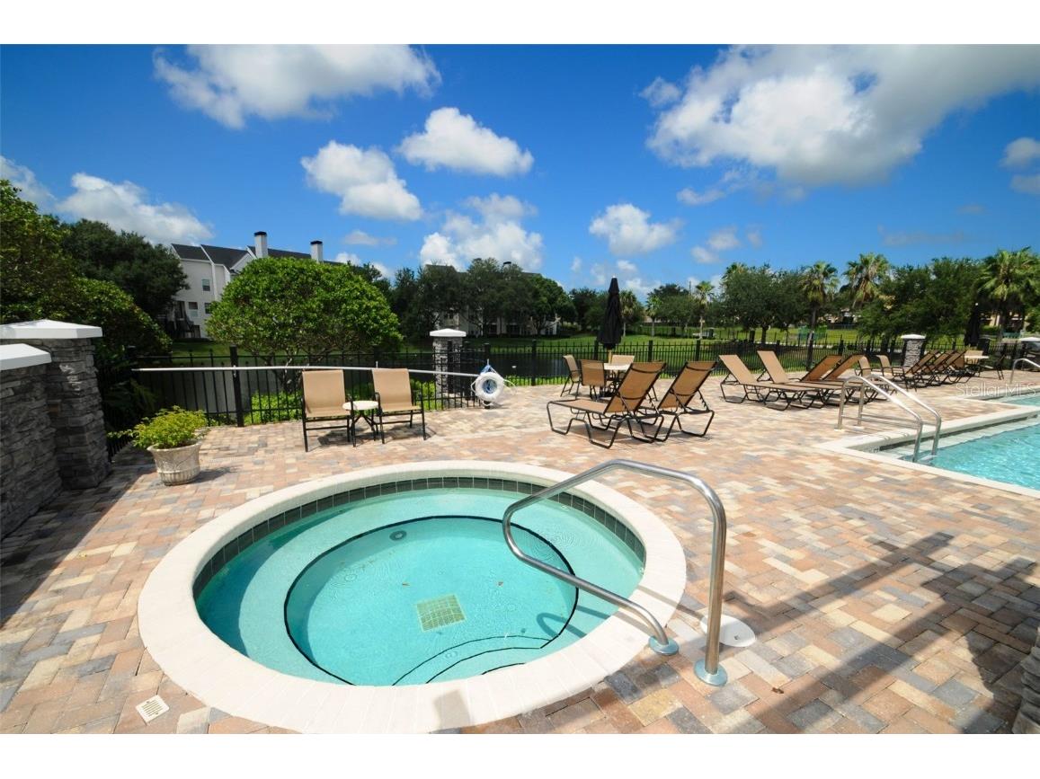 3261 Haviland Court #203 Palm Harbor FL 34684 W7881806 image40
