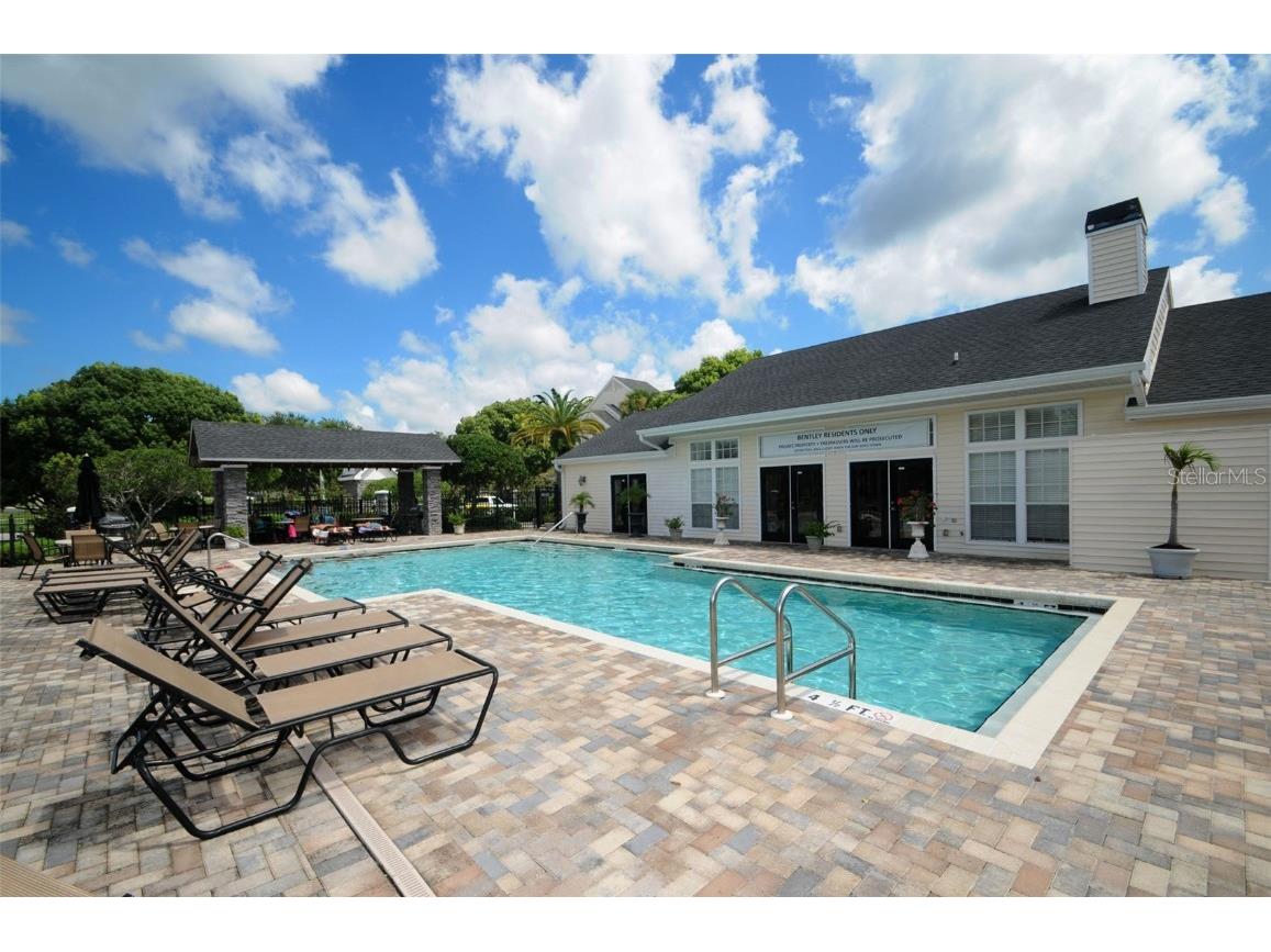 3261 Haviland Court #203 Palm Harbor FL 34684 W7881806 image41