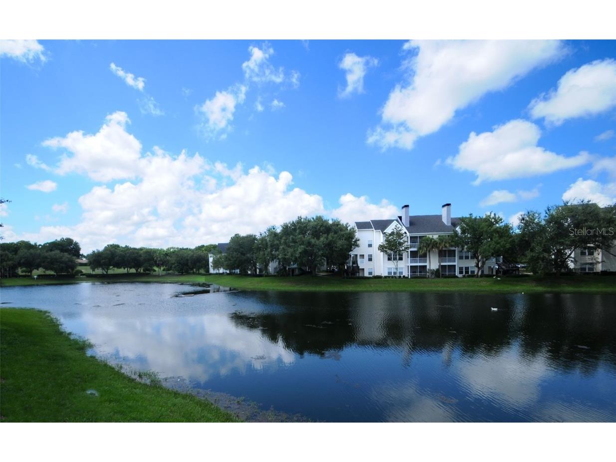 3261 Haviland Court #203 Palm Harbor FL 34684 W7881806 image43