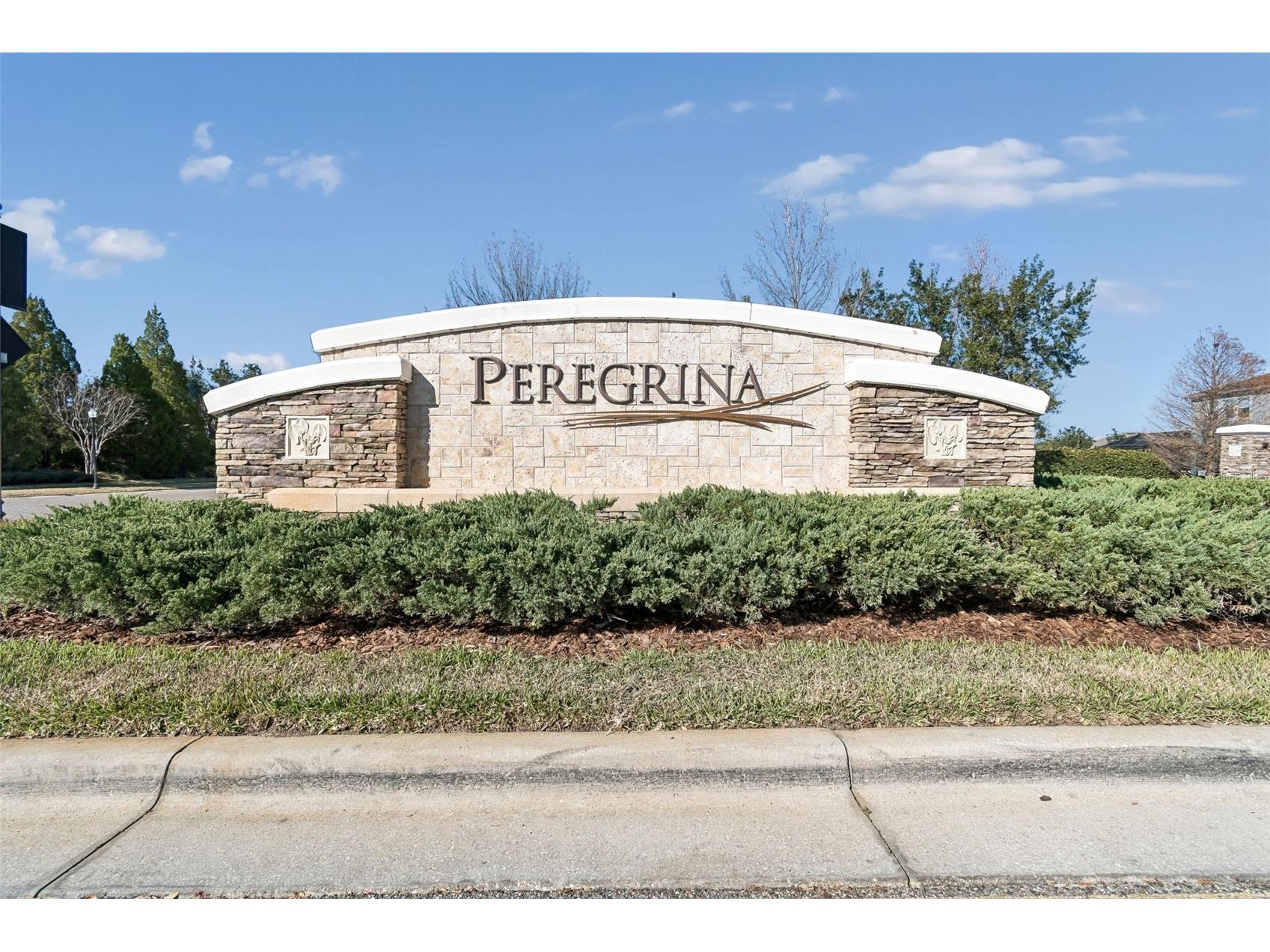 32613 Summerglade Drive Wesley Chapel FL 33545 TB8476423 image55