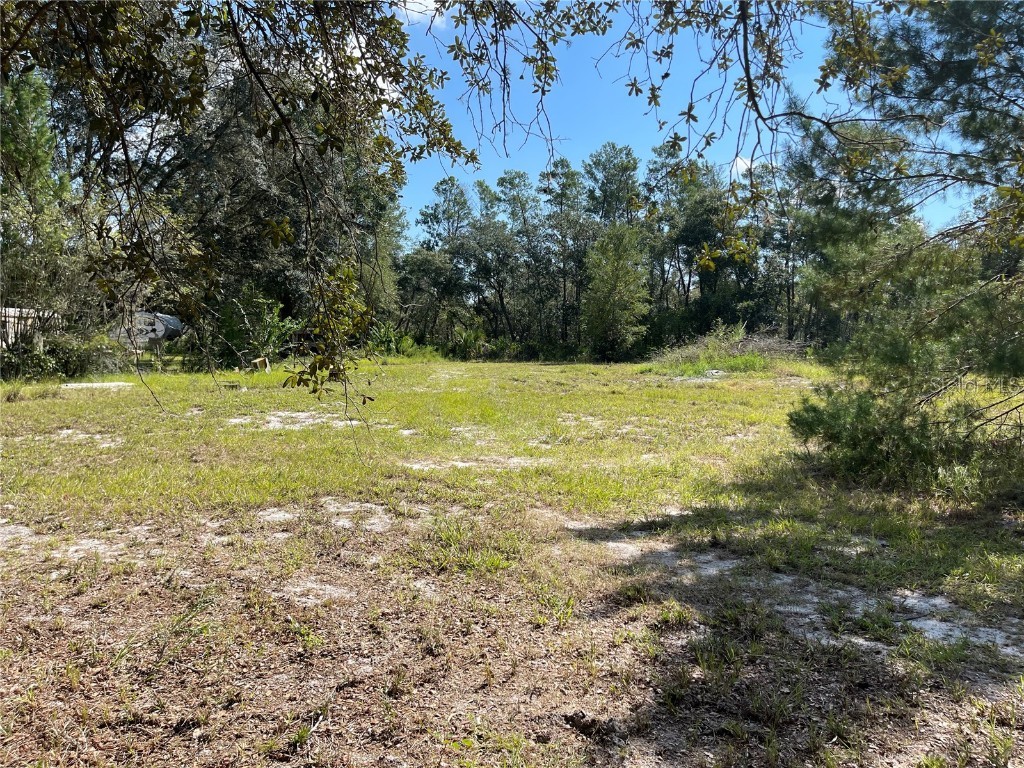 32615 Red Oak Drive Eustis FL 32736 V4932199 image1
