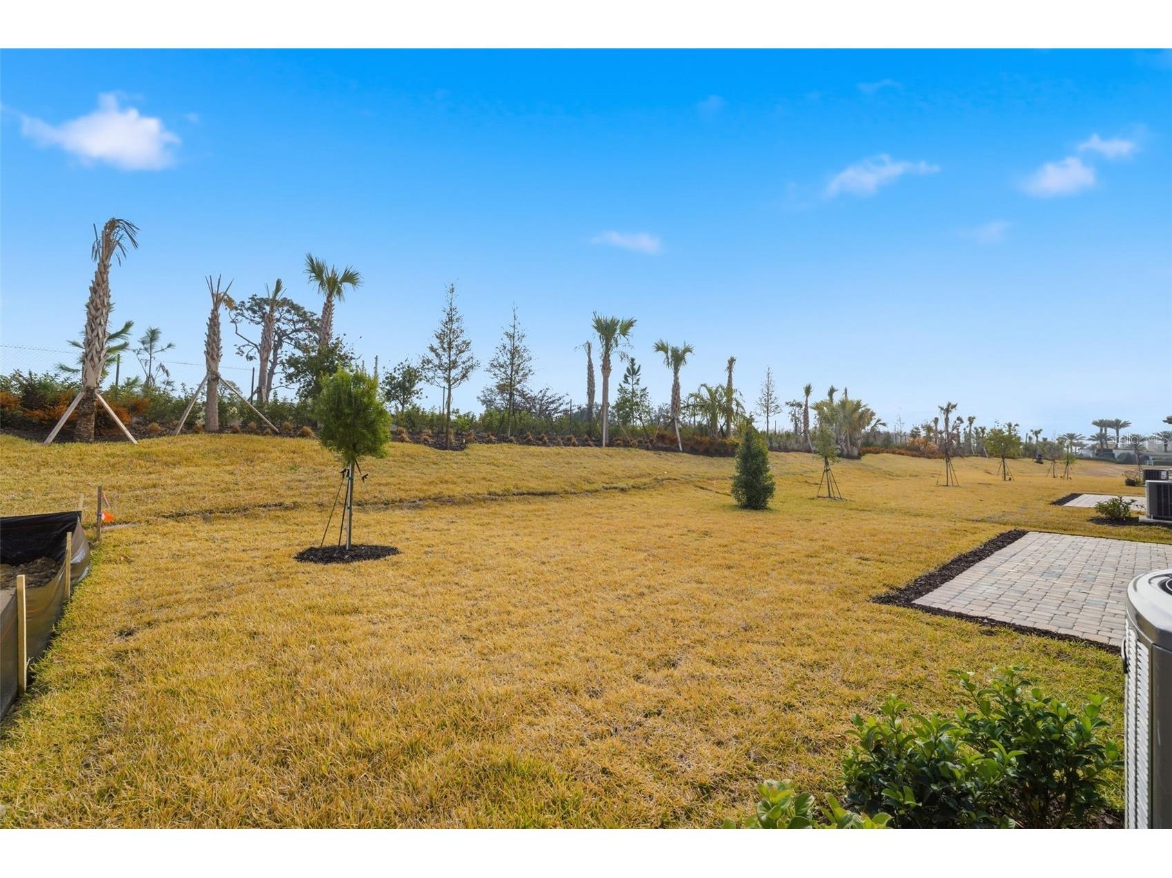 32616 Neroli Street Wesley Chapel FL 33543 TB8471882 image35