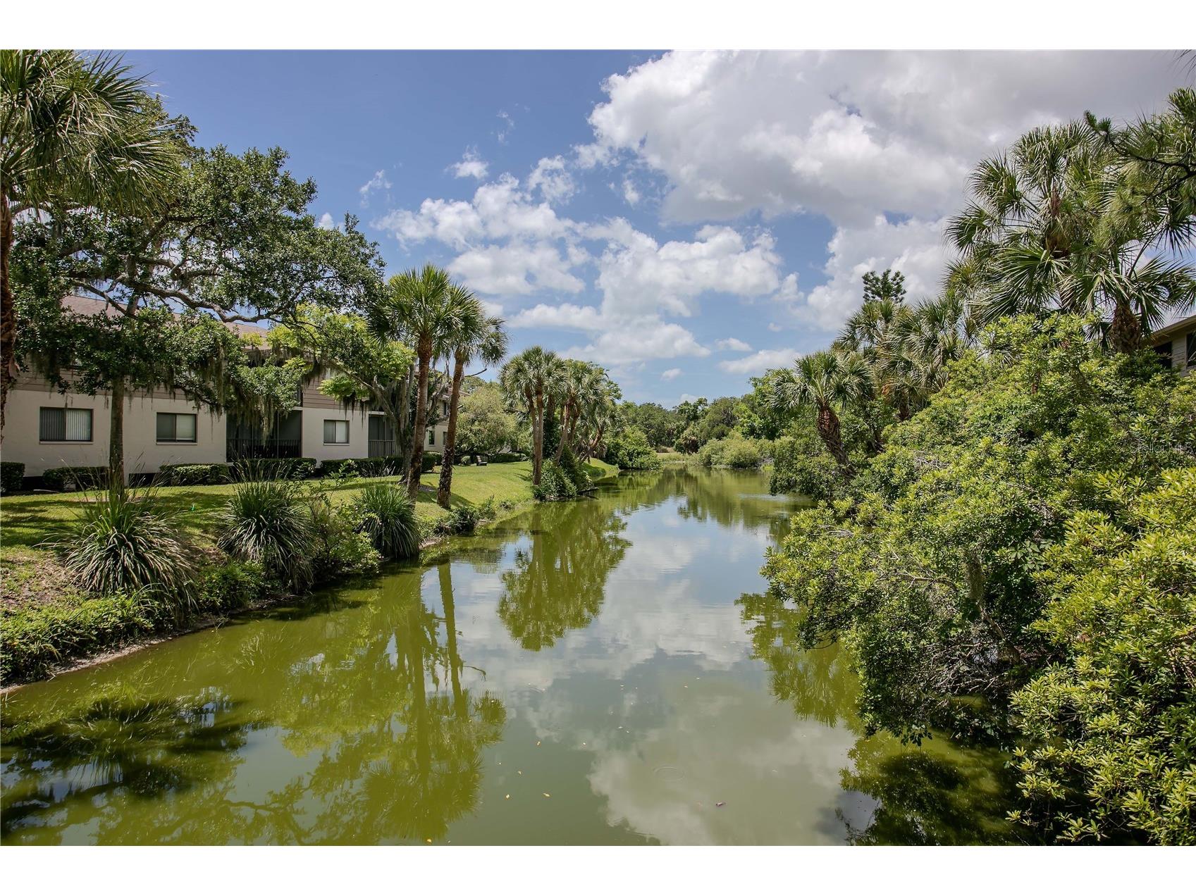 3262 Cross Creek Drive #3262 Sarasota FL 34231 TB8512221 image41