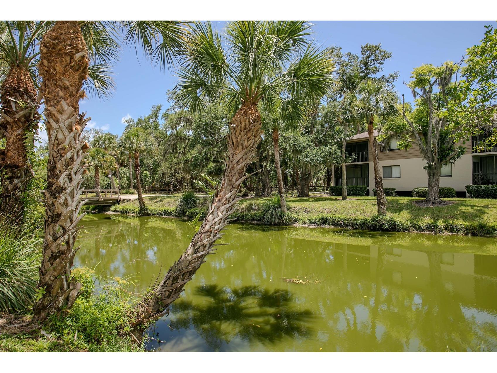 3262 Cross Creek Drive #3262 Sarasota FL 34231 TB8512221 image42