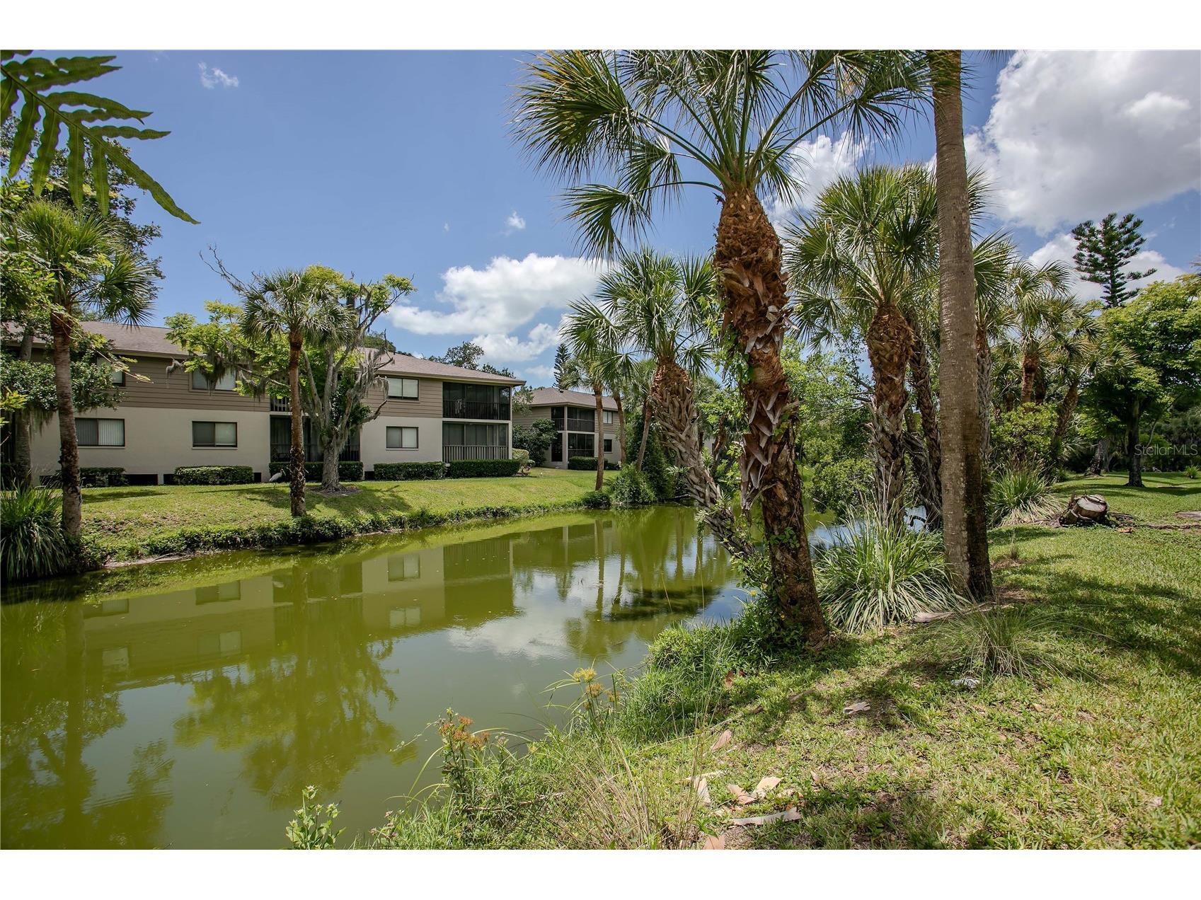 3262 Cross Creek Drive #3262 Sarasota FL 34231 TB8512221 image43