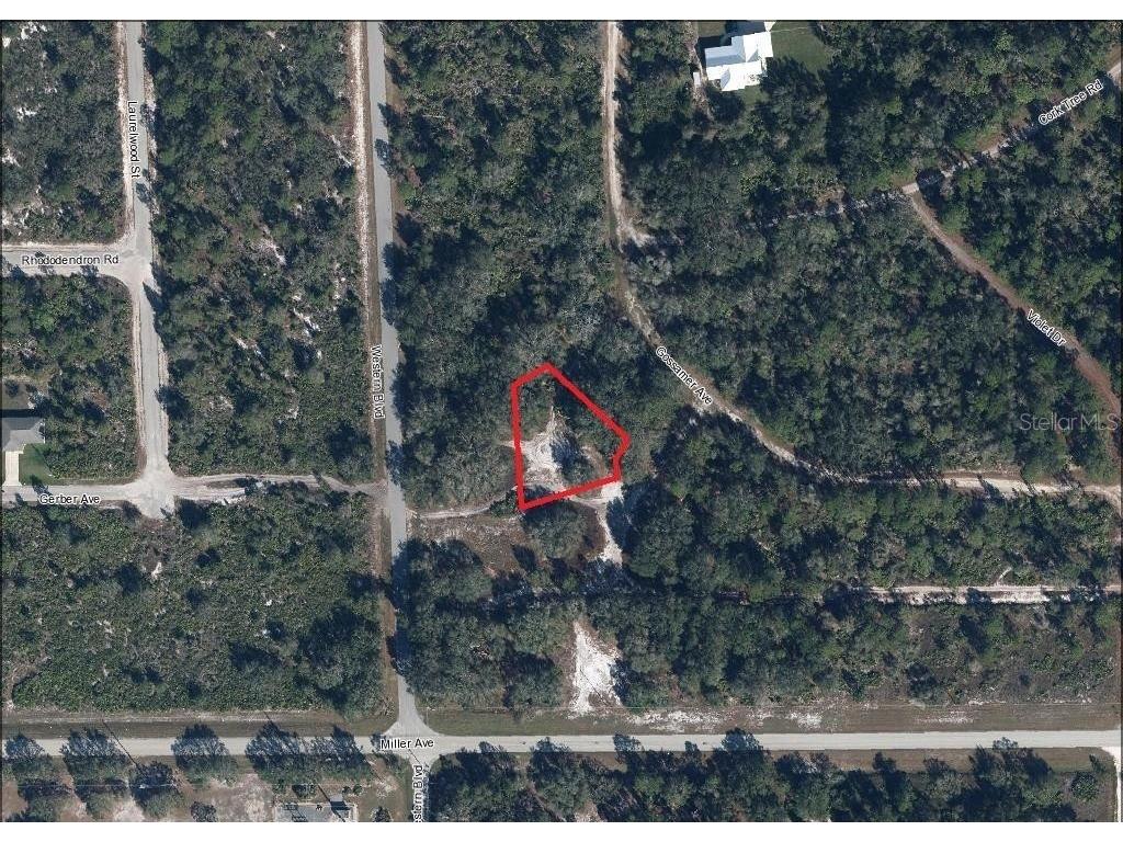 3262 Gossamer Avenue Lake Placid FL 33852 L4952254 image1