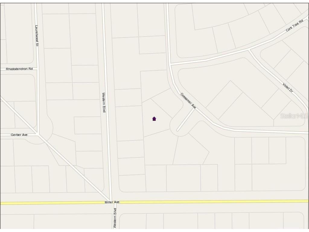 3262 Gossamer Avenue Lake Placid FL 33852 L4952254 image2