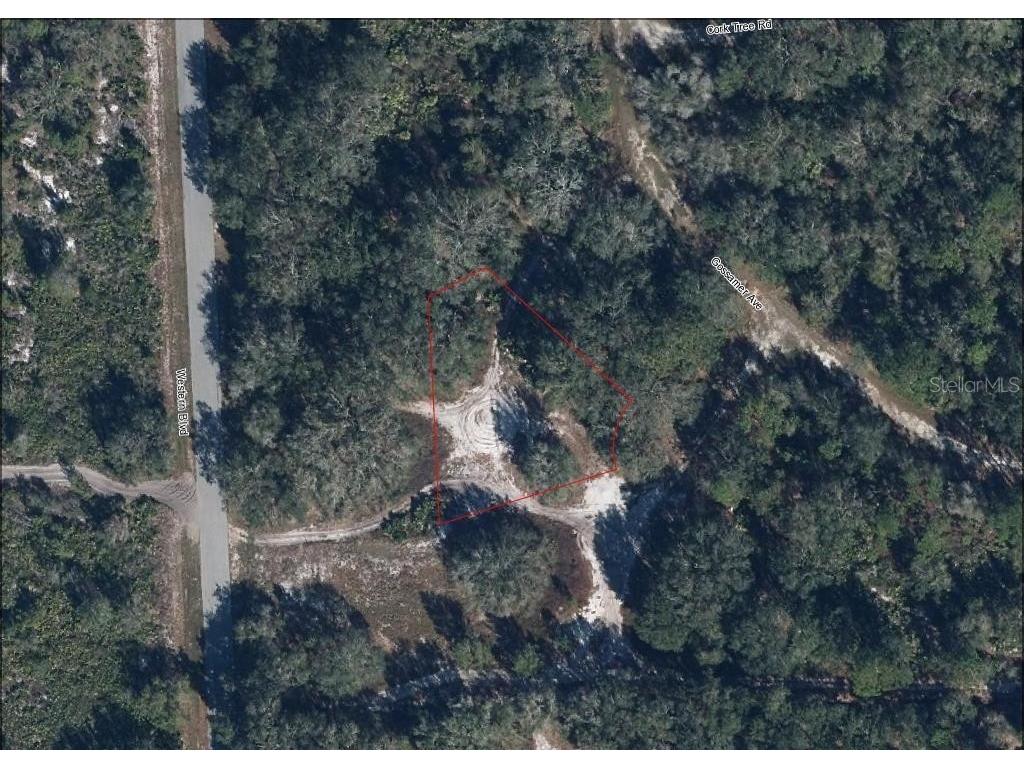 3262 Gossamer Avenue Lake Placid FL 33852 L4952254 image3