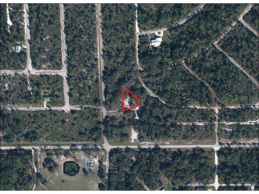 3262 Gossamer Avenue Lake Placid FL 33852 L4952254 image4