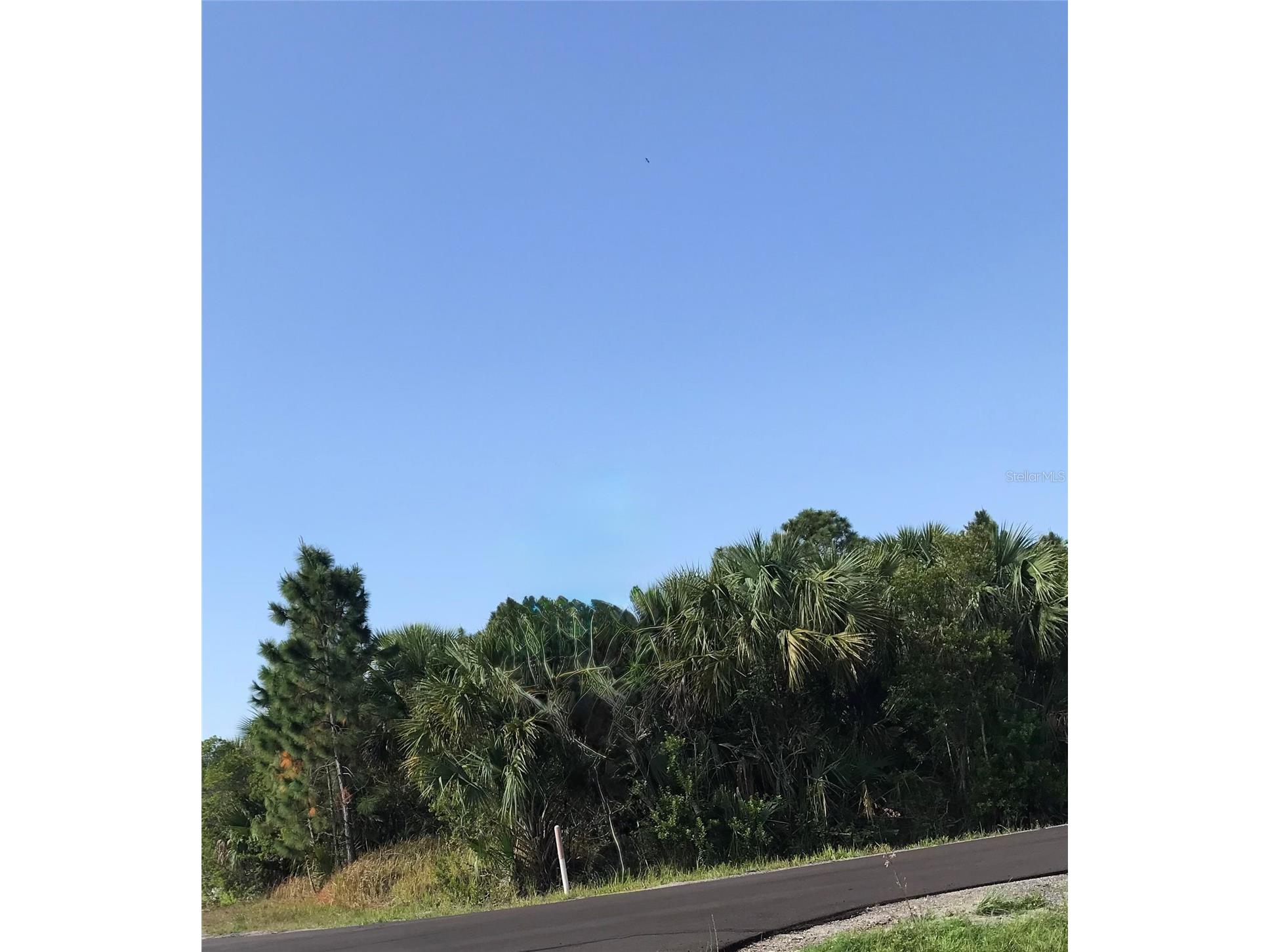 3262 La France Avenue SW Palm Bay FL 32908 S5152364 image1