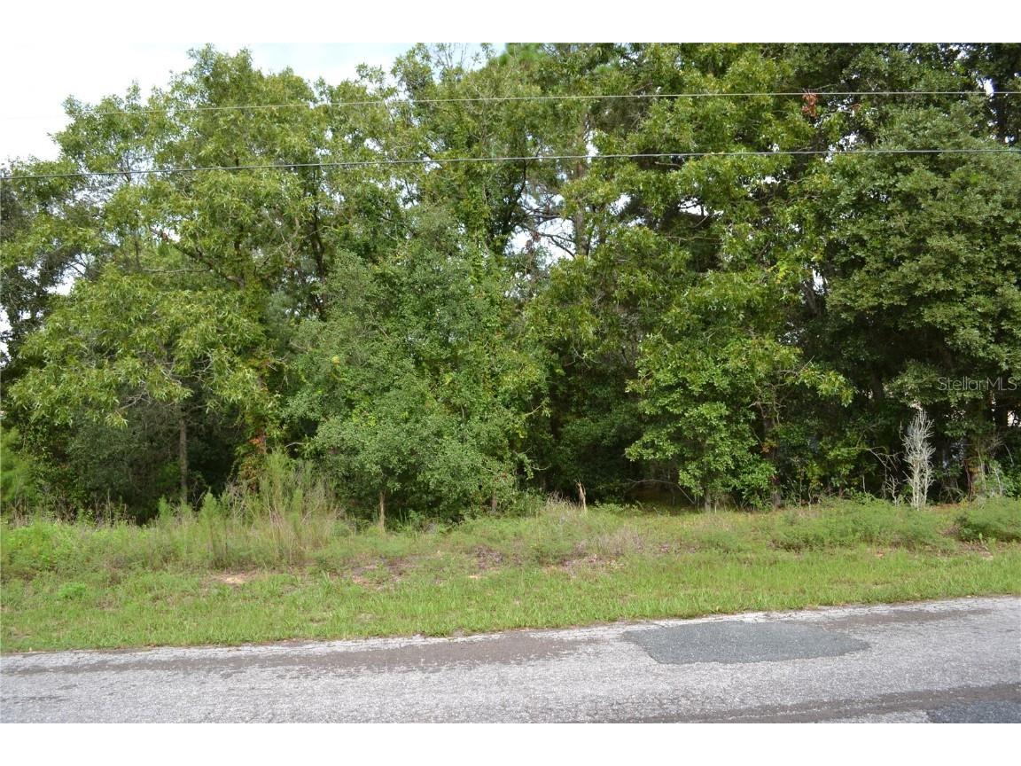 3262 N Eisenhower Avenue Hernando FL 34442 W7866423 image1