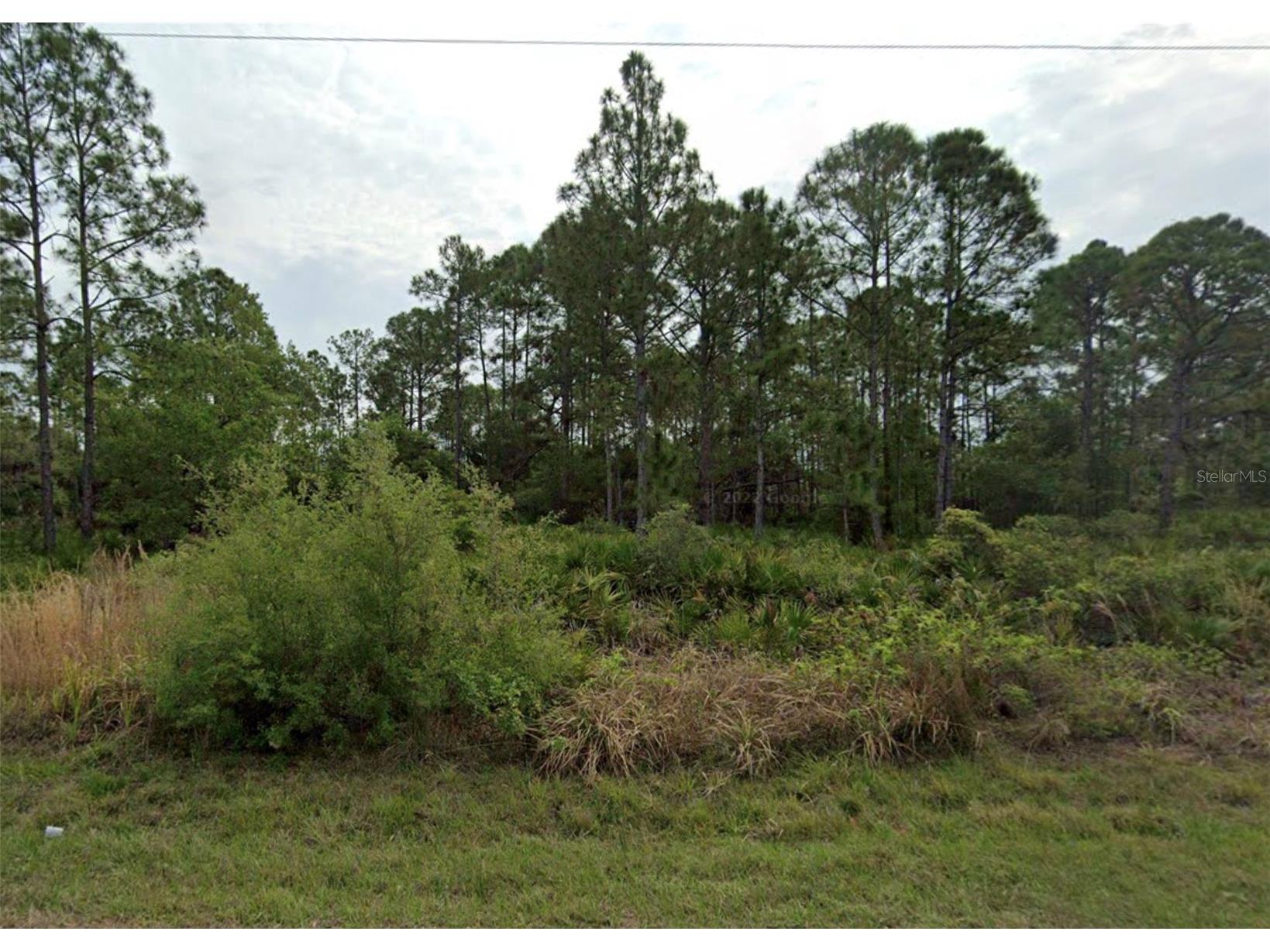 3262 Tiffiny Street Punta Gorda FL 33980 O6385635 image1