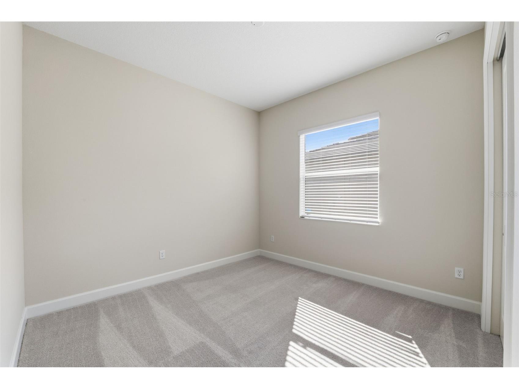 32623 Neroli Street Wesley Chapel FL 33543 TB8472937 image22
