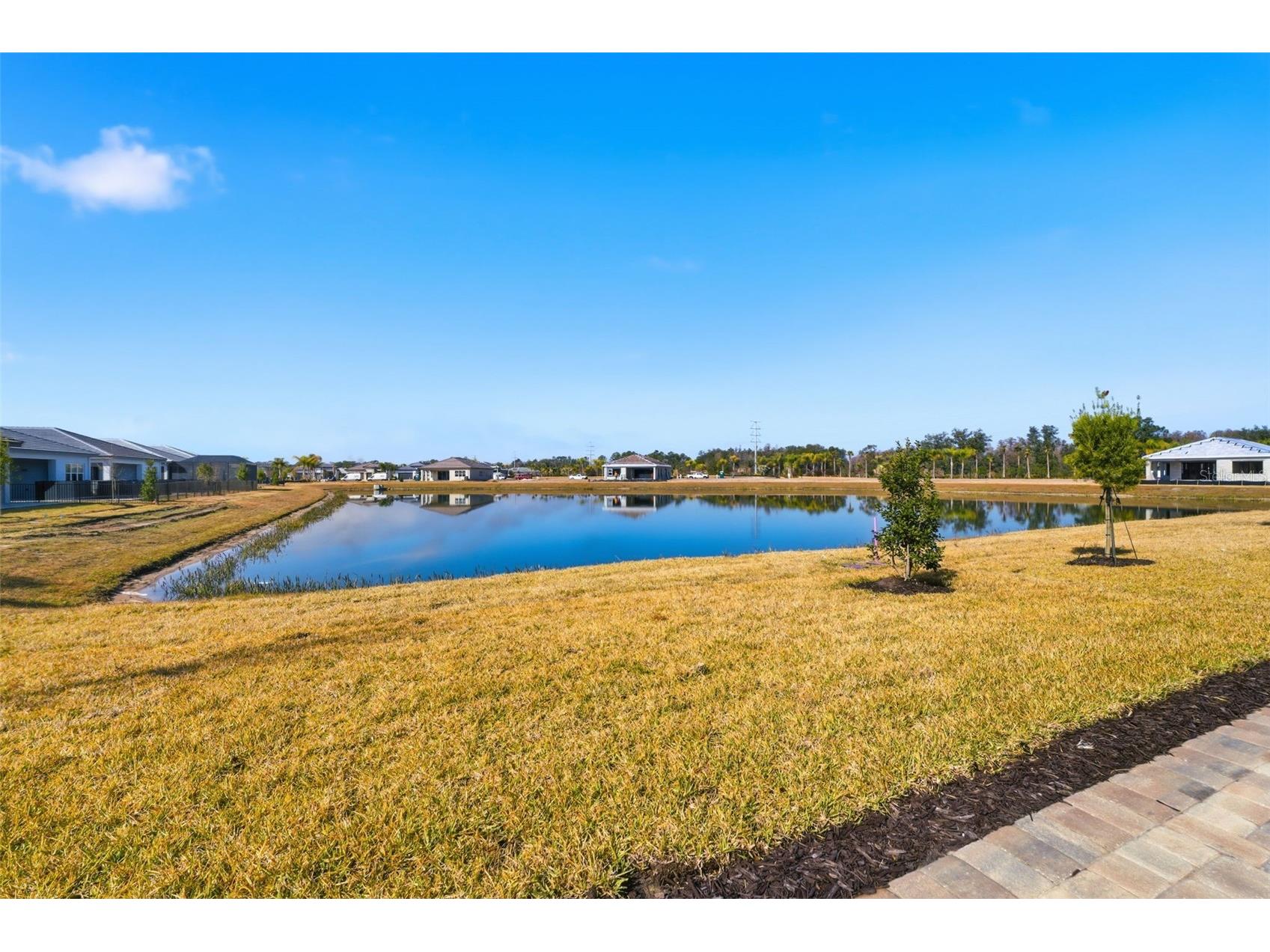 32623 Neroli Street Wesley Chapel FL 33543 TB8472937 image29