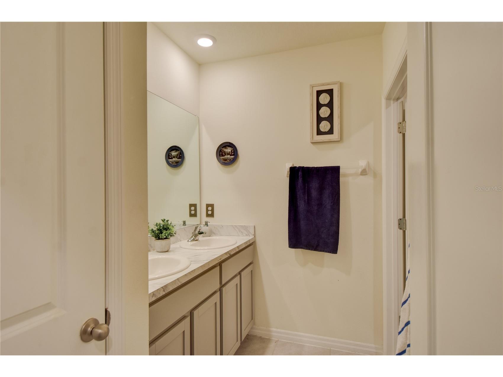 32624 Kobuk Valley Avenue Wesley Chapel FL 33543 TB8464346 image28