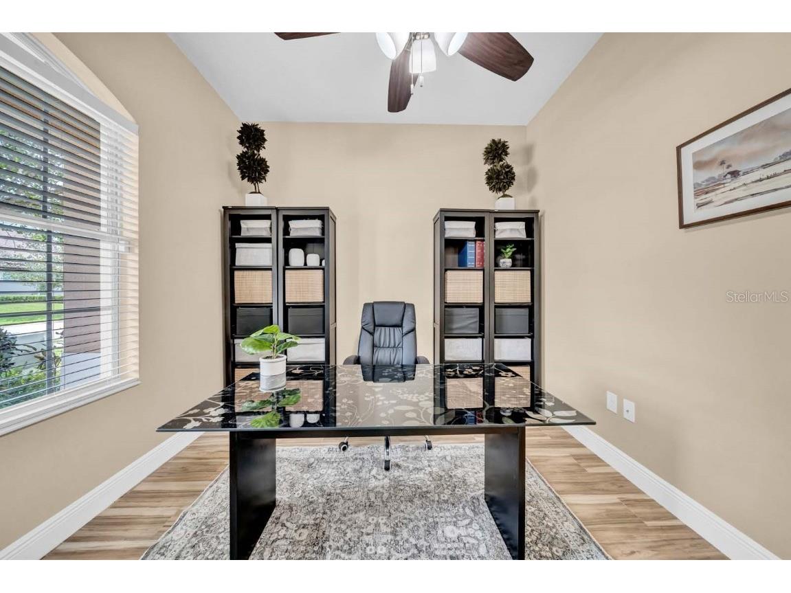 32624 Summerglade Drive Wesley Chapel FL 33545 TB8395789 image29