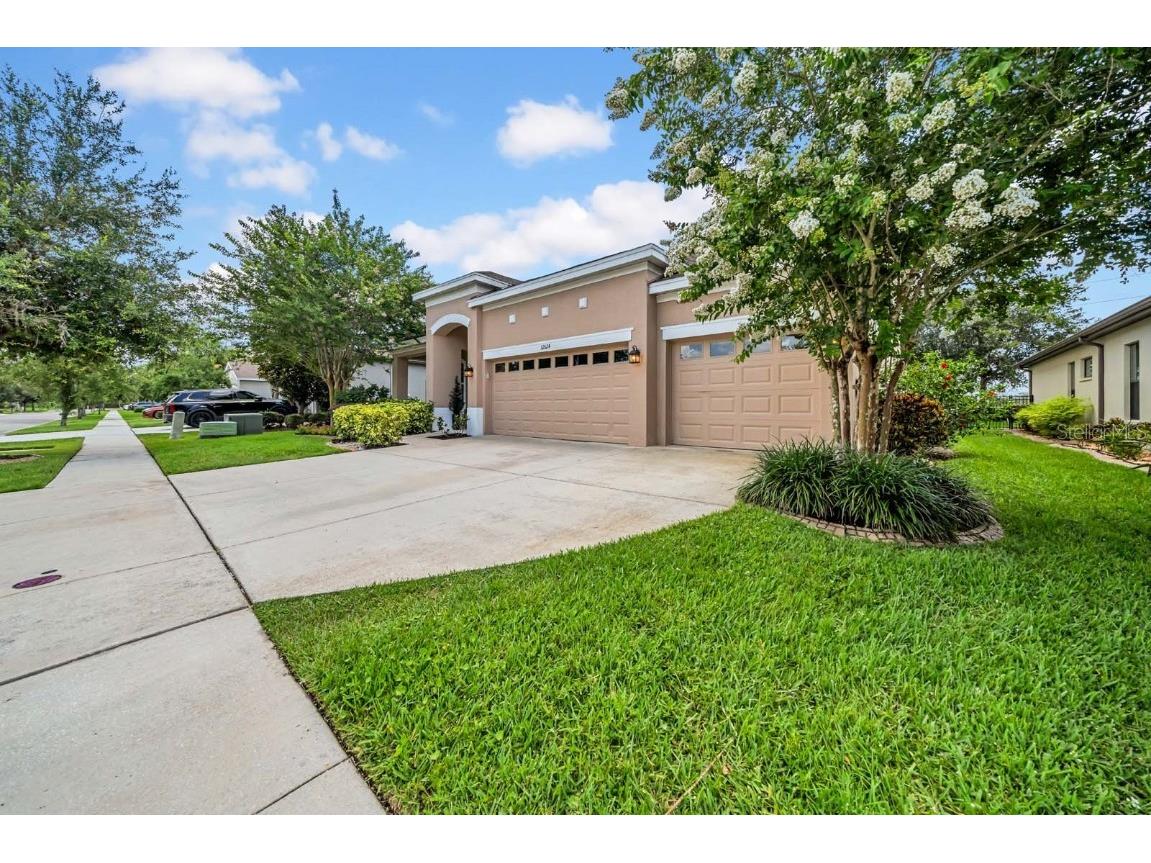 32624 Summerglade Drive Wesley Chapel FL 33545 TB8395789 image52