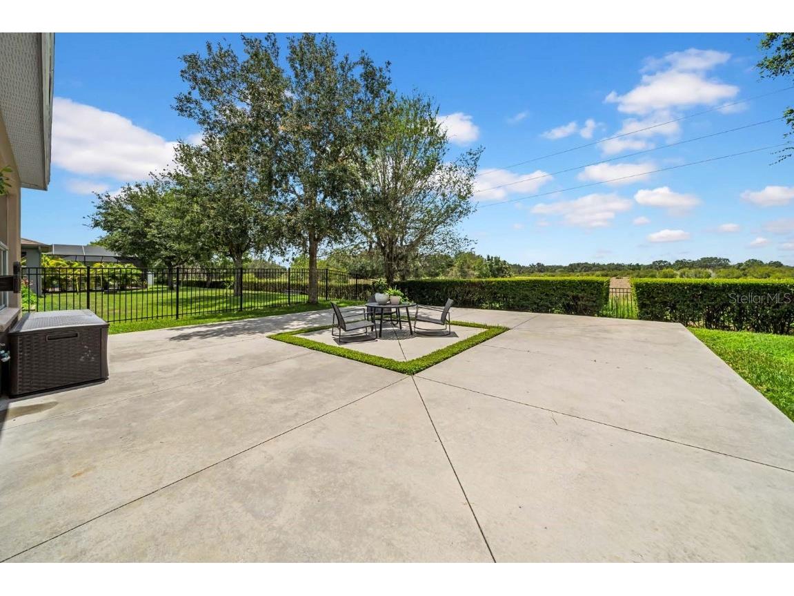 32624 Summerglade Drive Wesley Chapel FL 33545 TB8395789 image8