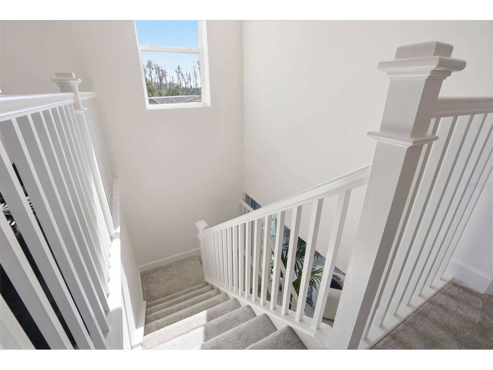 32626 Tree Of Life Avenue Wesley Chapel FL 33543 TB8485477 image23