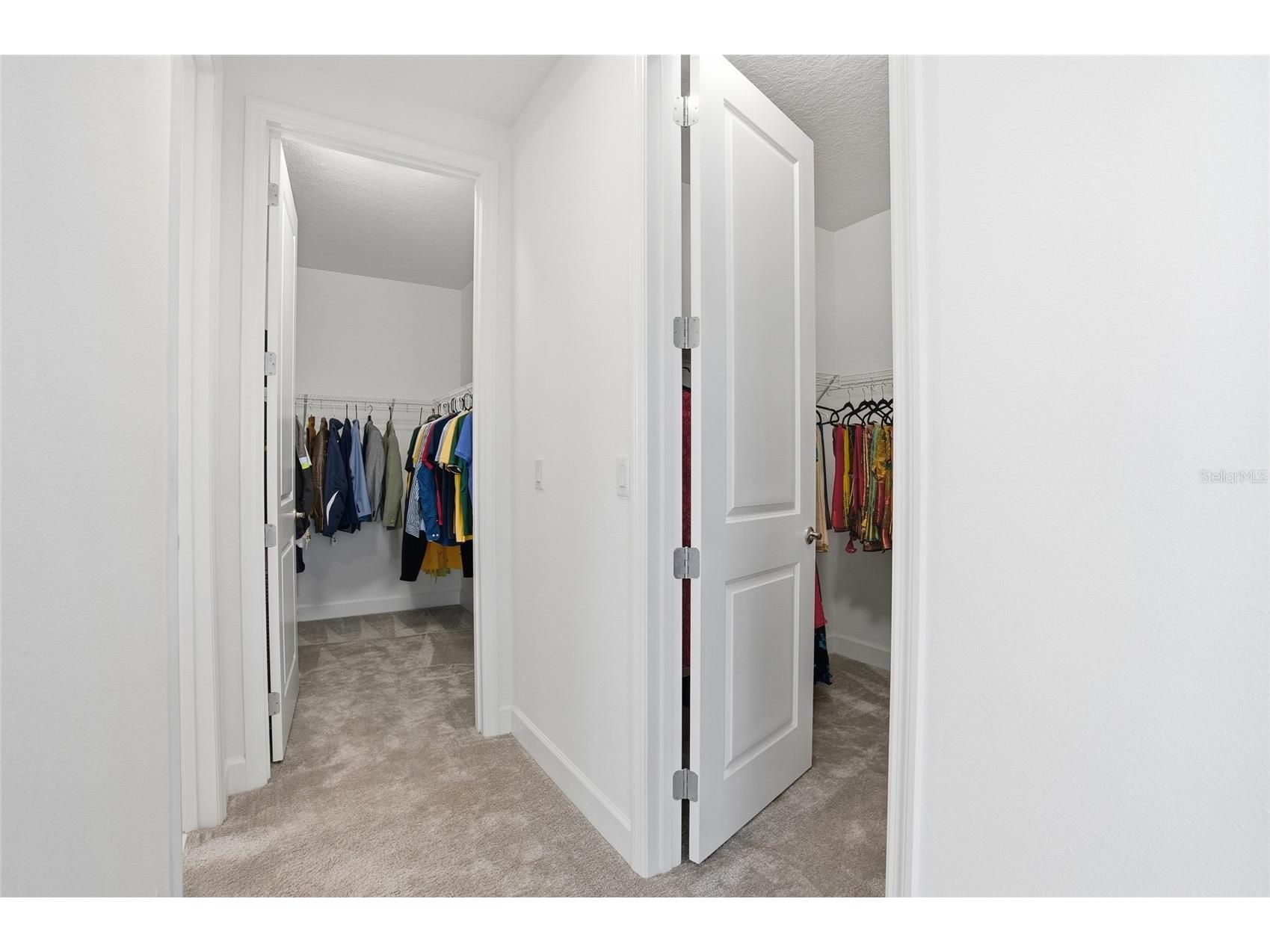 32626 Tree Of Life Avenue Wesley Chapel FL 33543 TB8485477 image31