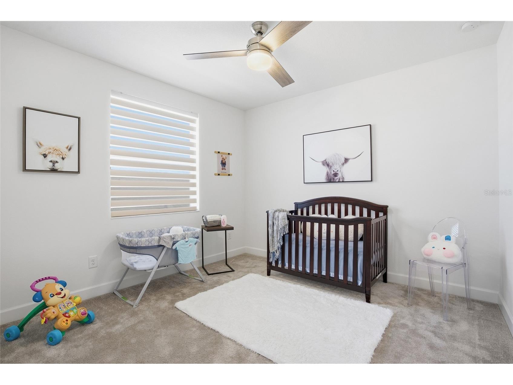 32626 Tree Of Life Avenue Wesley Chapel FL 33543 TB8485477 image37