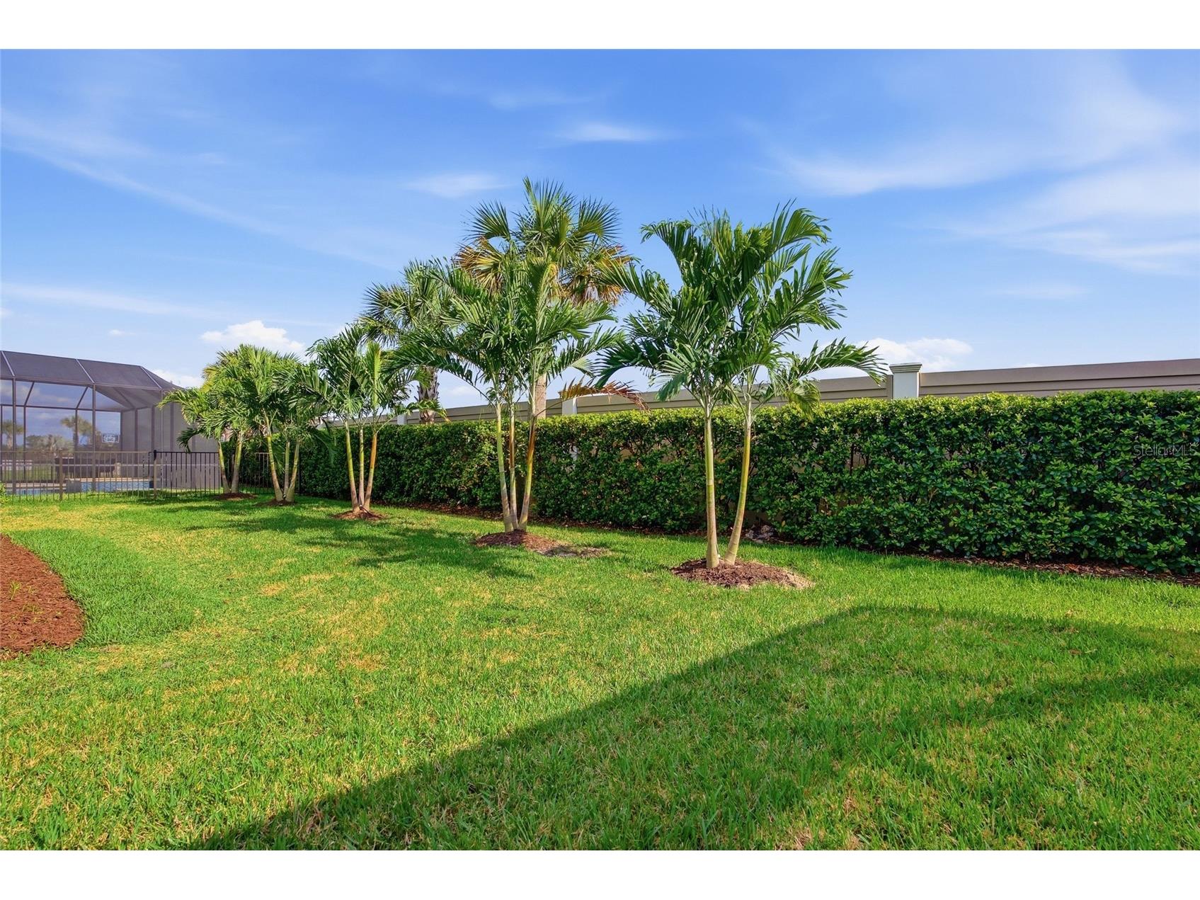 32626 Tree Of Life Avenue Wesley Chapel FL 33543 TB8485477 image48