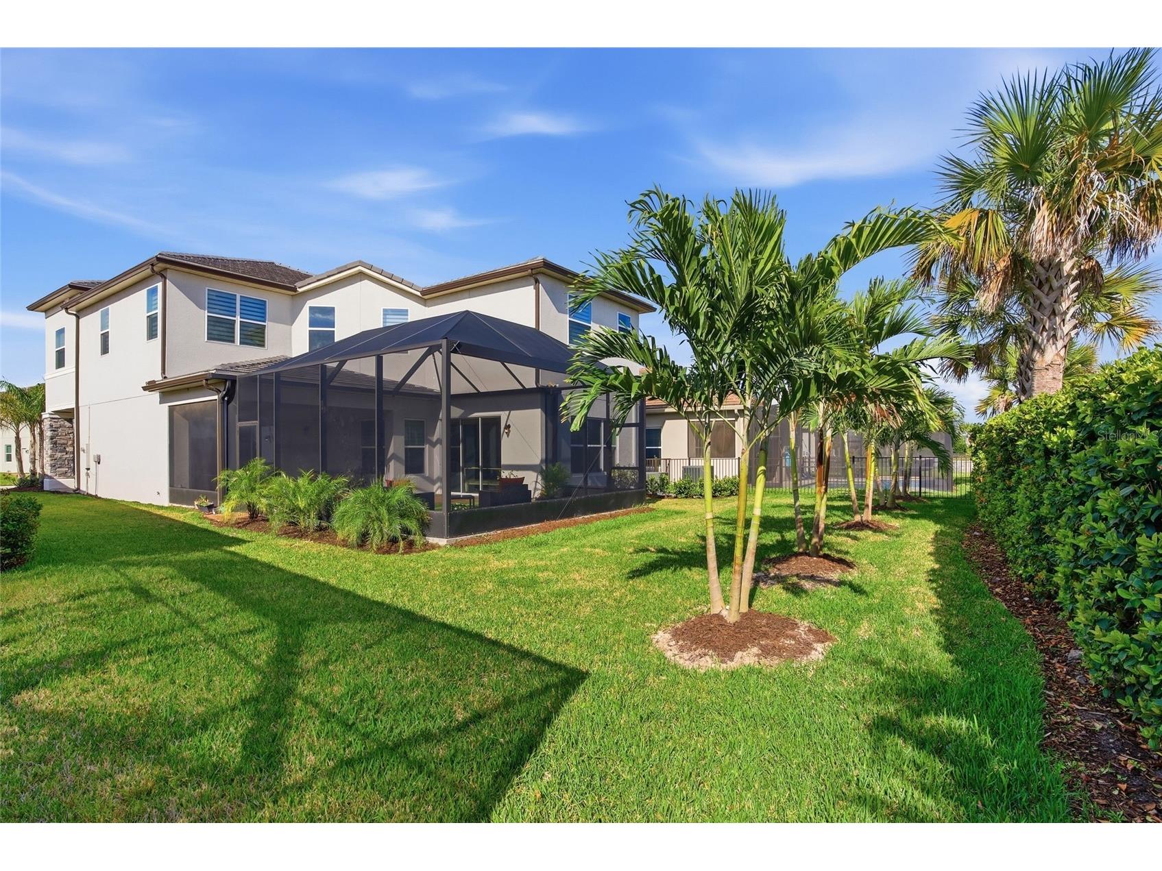 32626 Tree Of Life Avenue Wesley Chapel FL 33543 TB8485477 image49