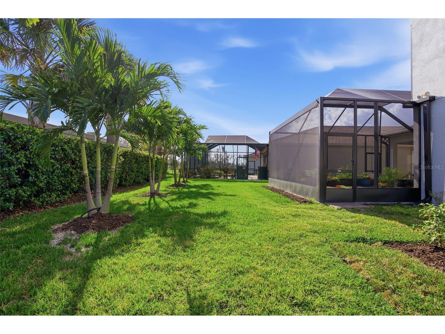32626 Tree Of Life Avenue Wesley Chapel FL 33543 TB8485477 image50