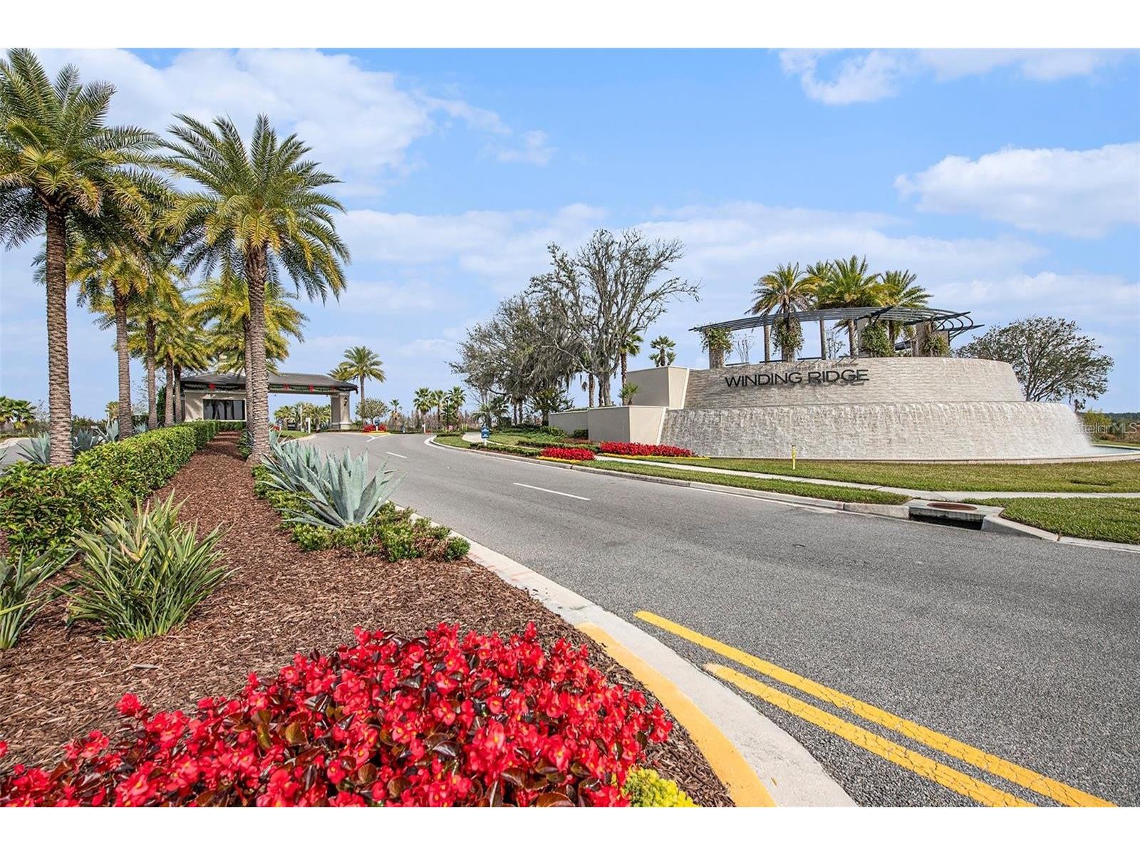 32626 Tree Of Life Avenue Wesley Chapel FL 33543 TB8485477 image60