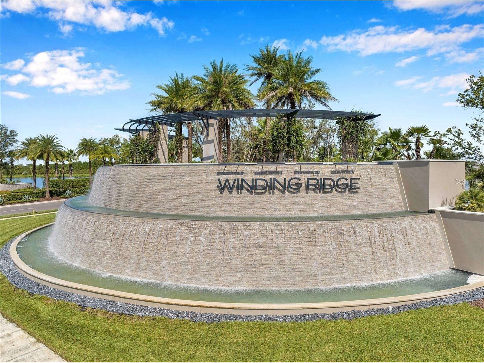 32626 Tree Of Life Avenue Wesley Chapel FL 33543 TB8485477 image61