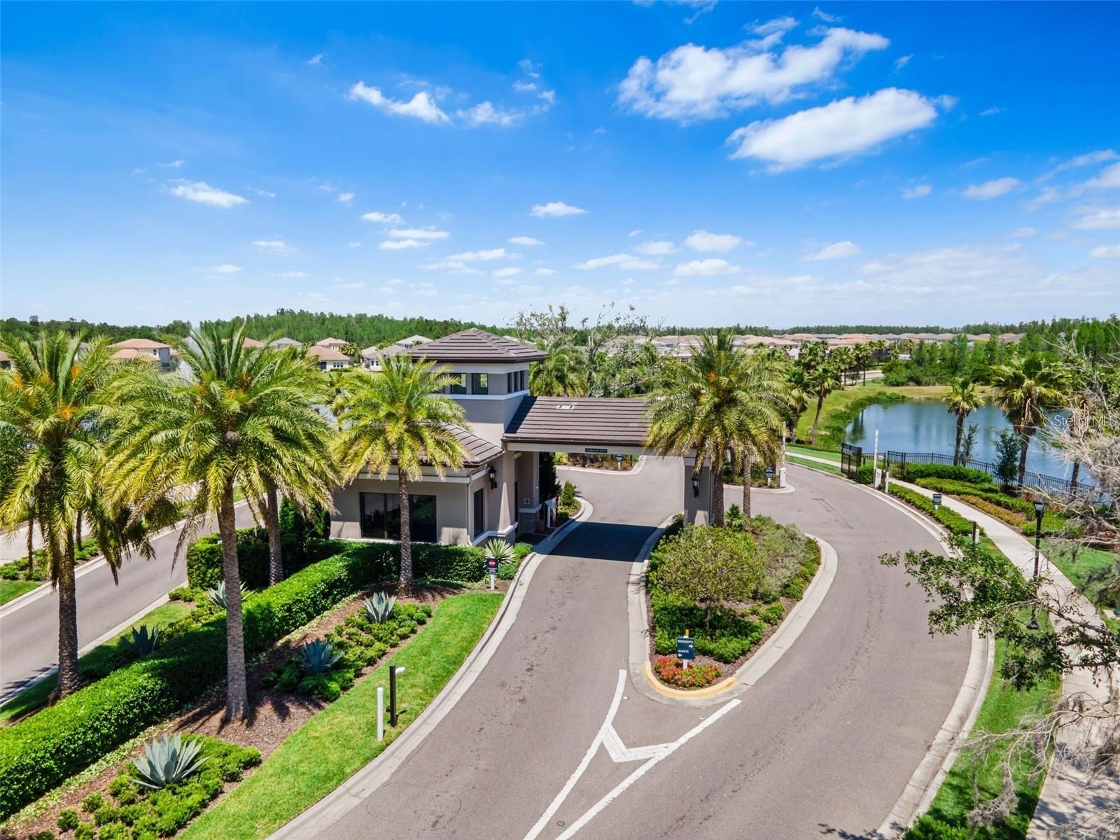 32626 Tree Of Life Avenue Wesley Chapel FL 33543 TB8485477 image62
