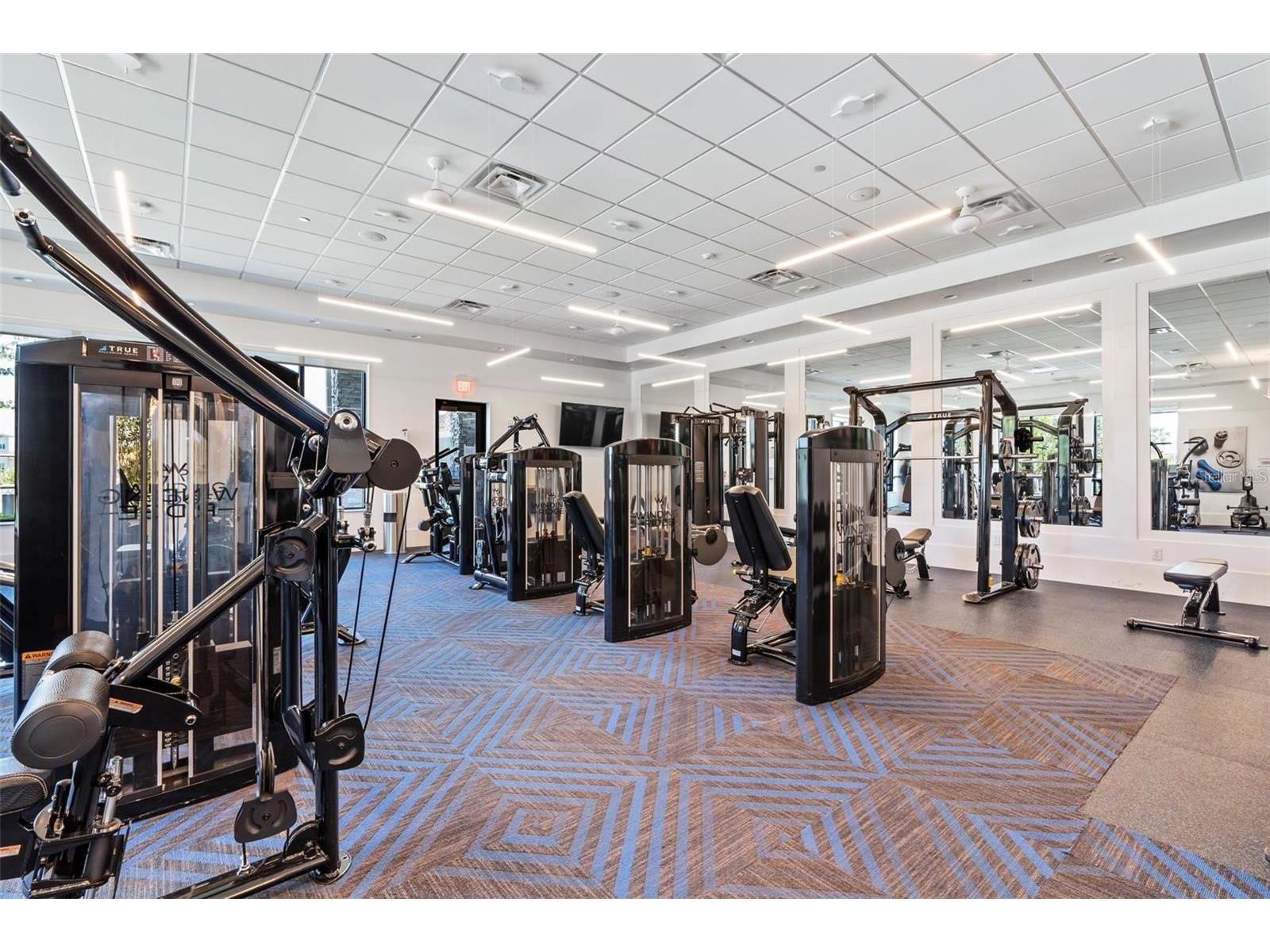 32626 Tree Of Life Avenue Wesley Chapel FL 33543 TB8485477 image71