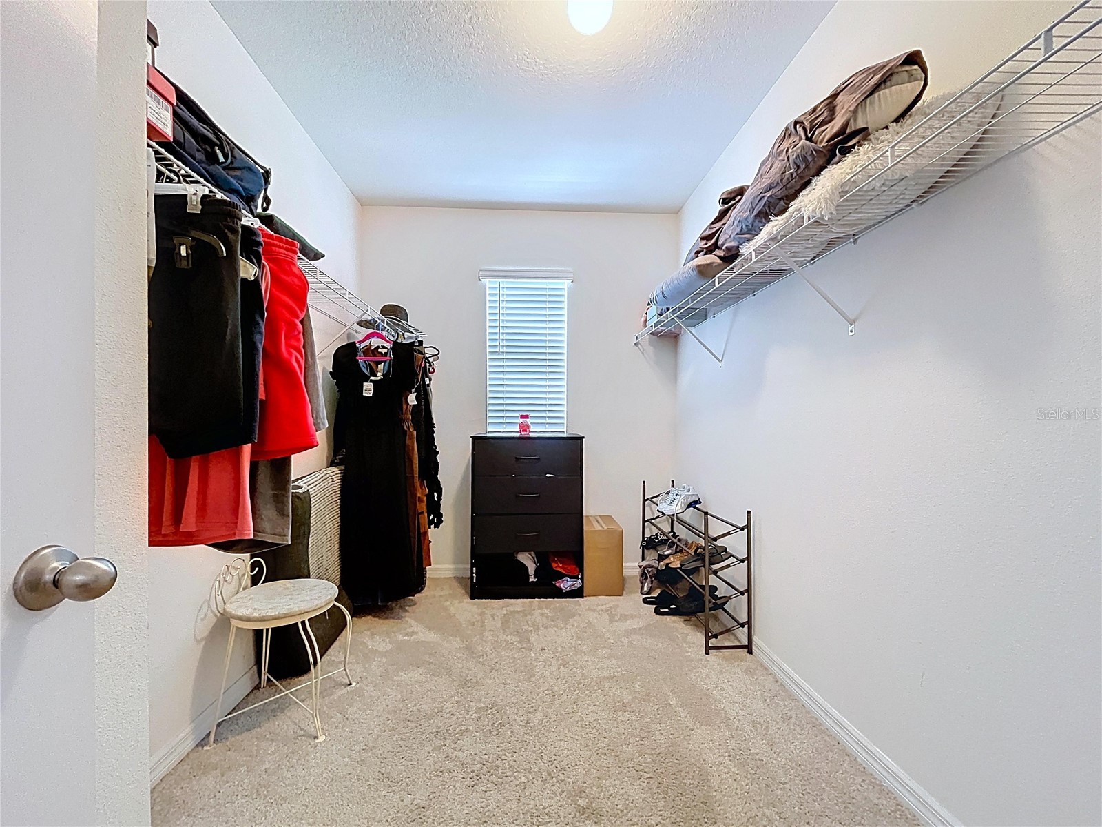 32628 Abby Lax Lane Wesley Chapel FL 33543 TB8500930 image21