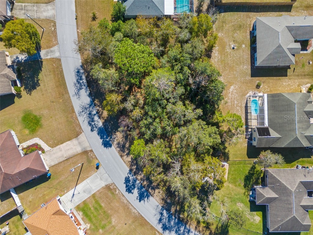3263 Ambassador Avenue Spring Hill FL 34609 W7870300 image1