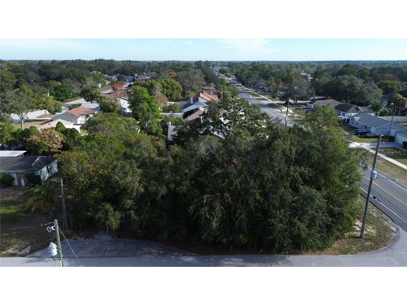 3263 Deltona Boulevard Spring Hill FL 34606 TB8444854 image2