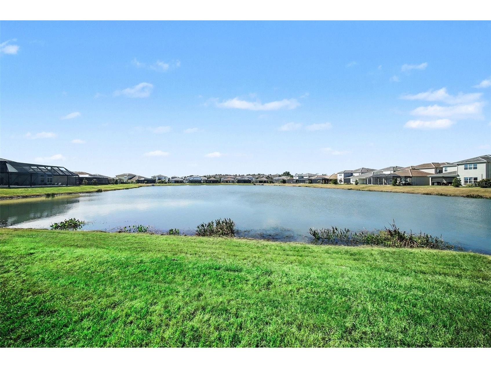3263 Juniper Springs Street Wesley Chapel FL 33543 TB8468534 image35